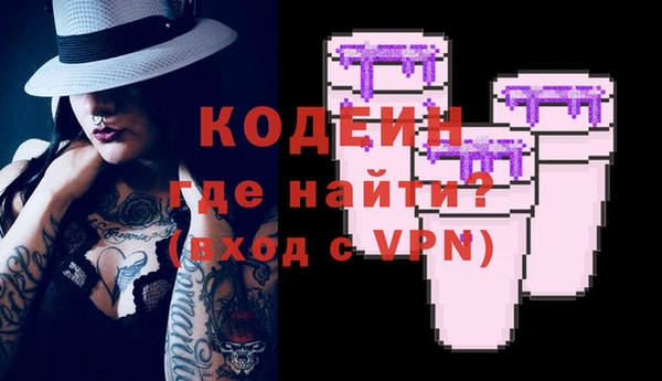 гашик Костерёво