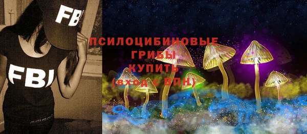 амф Арсеньев